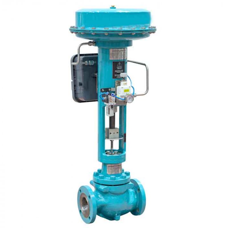 Globe Control Valve