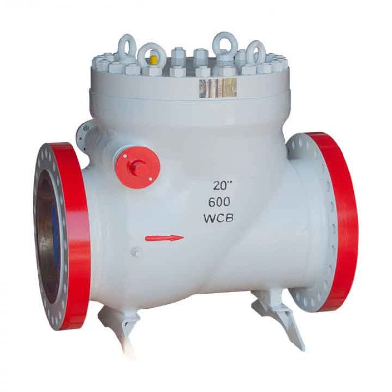 Swing Check Valve